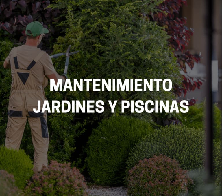 Jardineros De Murcia mantenimiento jardines y piscinas