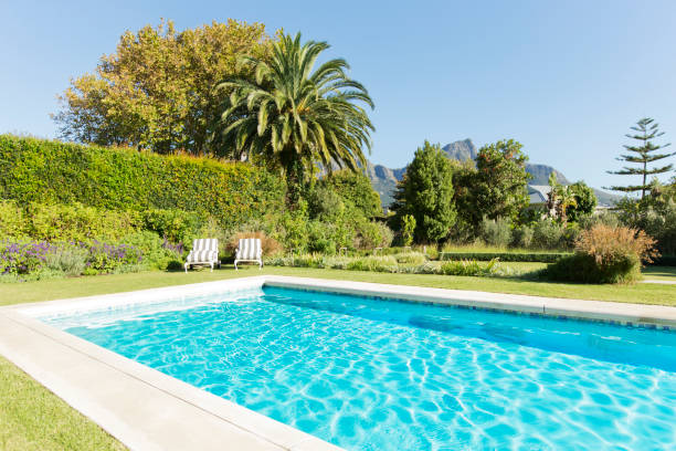 Jardineros De Murcia piscina con zona verde